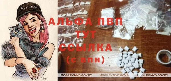 молекула духа Володарск