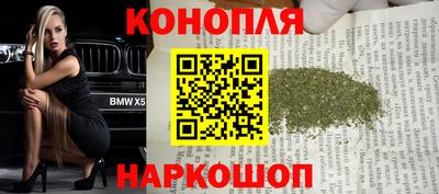крисы Жуковский