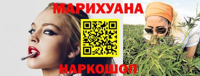 альфа пвп Заводоуковск