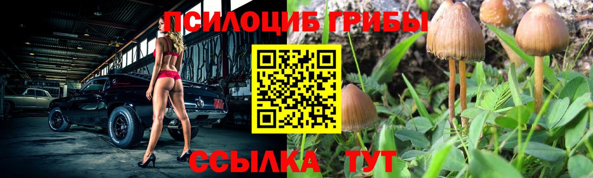 Галлюциногенные грибы MAGIC MUSHROOMS  Псилоцибиновые грибы ЛСД  Медногорск 