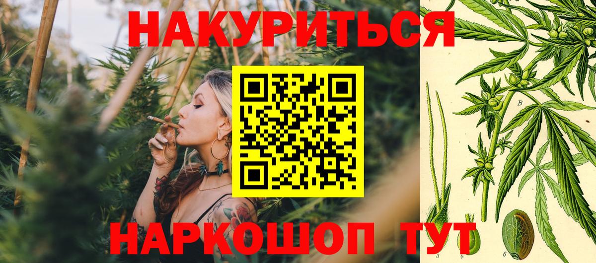 Шишки марихуана планчик  Марихуана конопля  Медногорск  Канабис ГИДРОПОН 